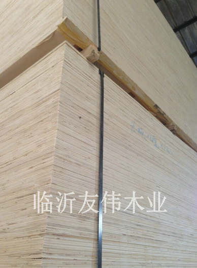 異形托盤板不可貌相，發(fā)展前景不可限量